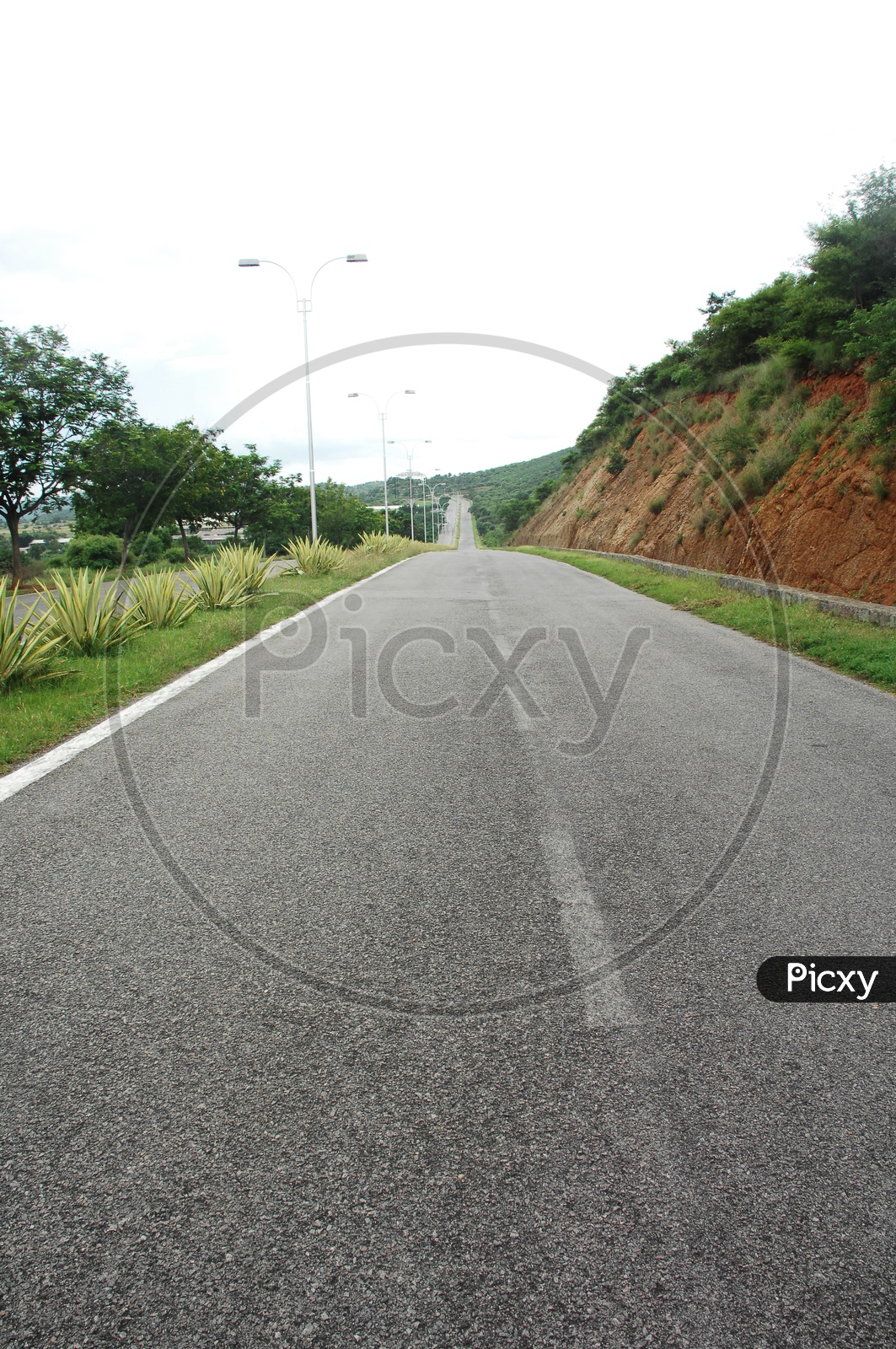 Roadway in Ramoji Film City