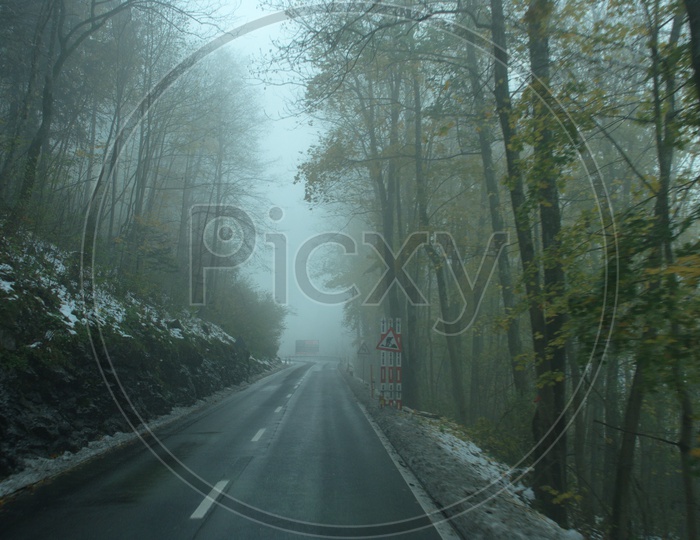 View of roadway covered with trees during fog