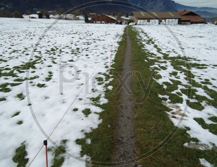 Grass covered with snow alongside the Swiss Alps
