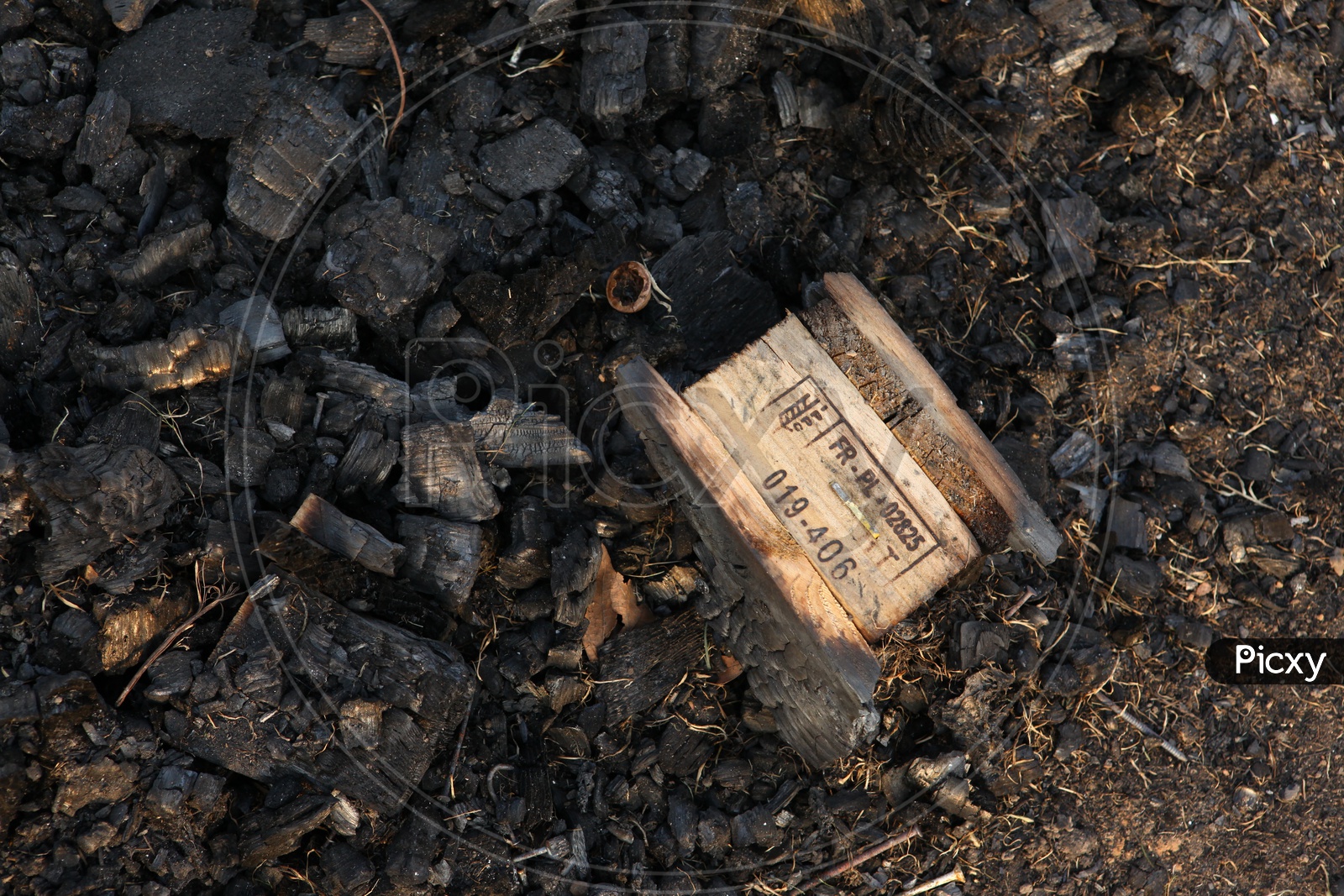 Image of Coal Formed By wood BurntNR058242Picxy