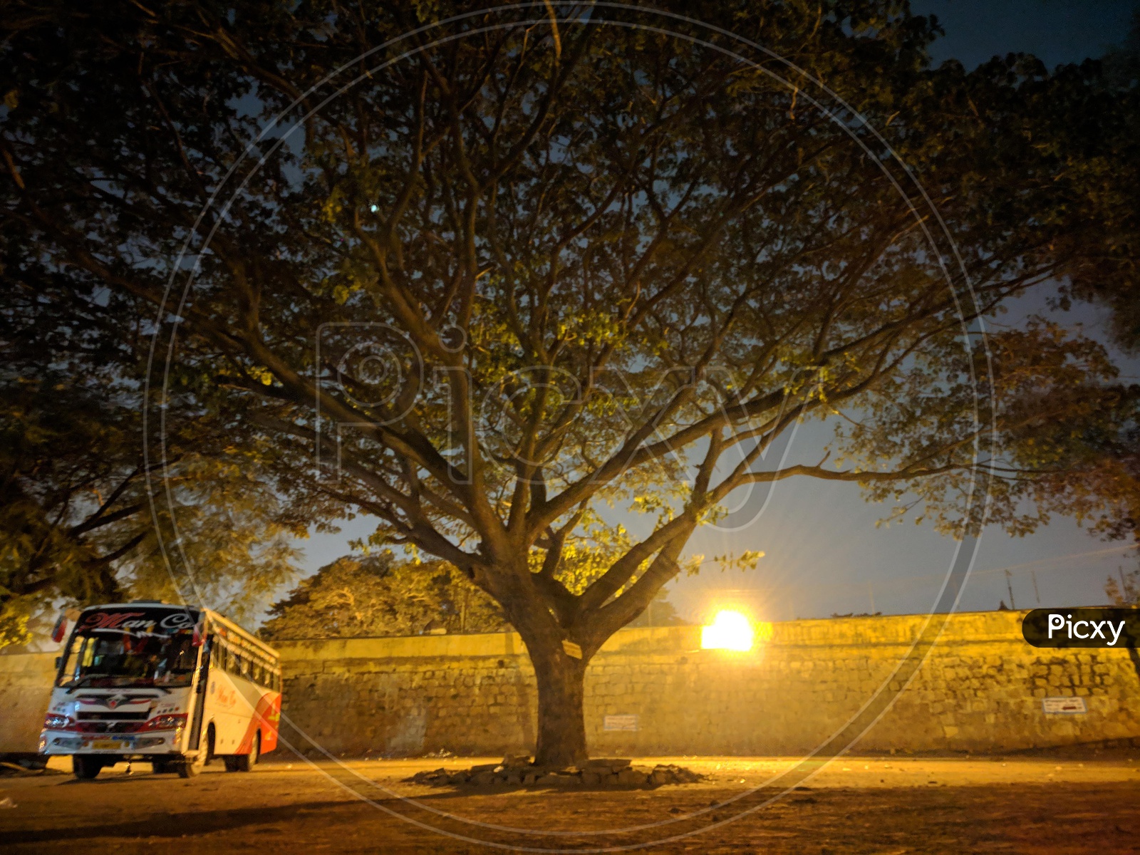 A travel Bus Parked Under A Tree