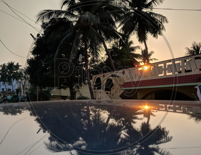 Reflection Of a Coconut Tree in a house On a Car Surface