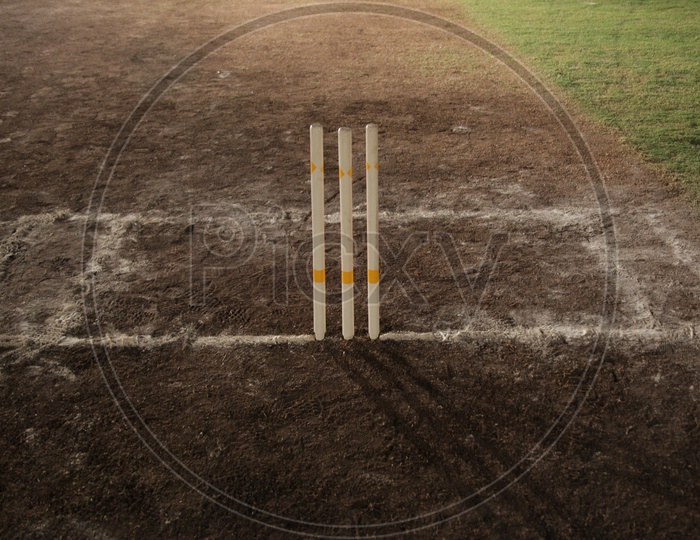 Wickets in a cricket ground