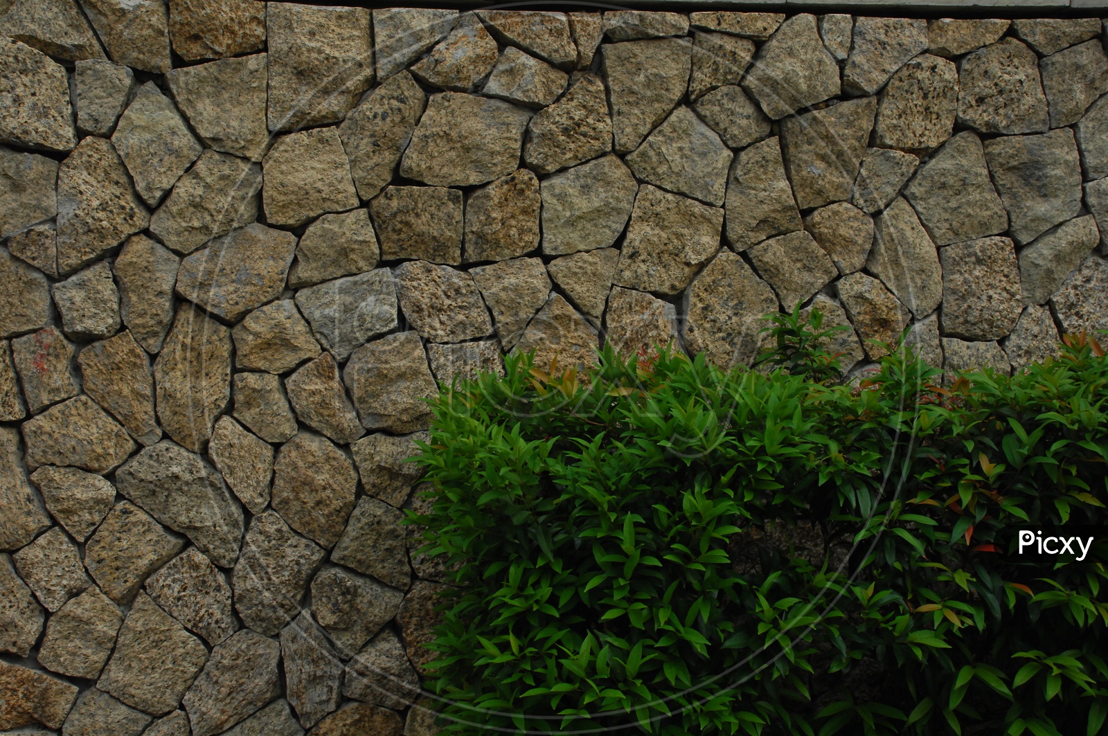 A wall built with rocks  and a small tree in front of it