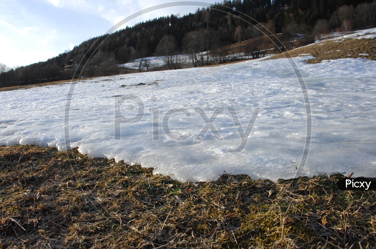 Grassland covered with snow