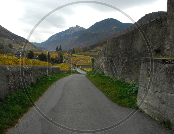 Roadway through the Swiss Alps