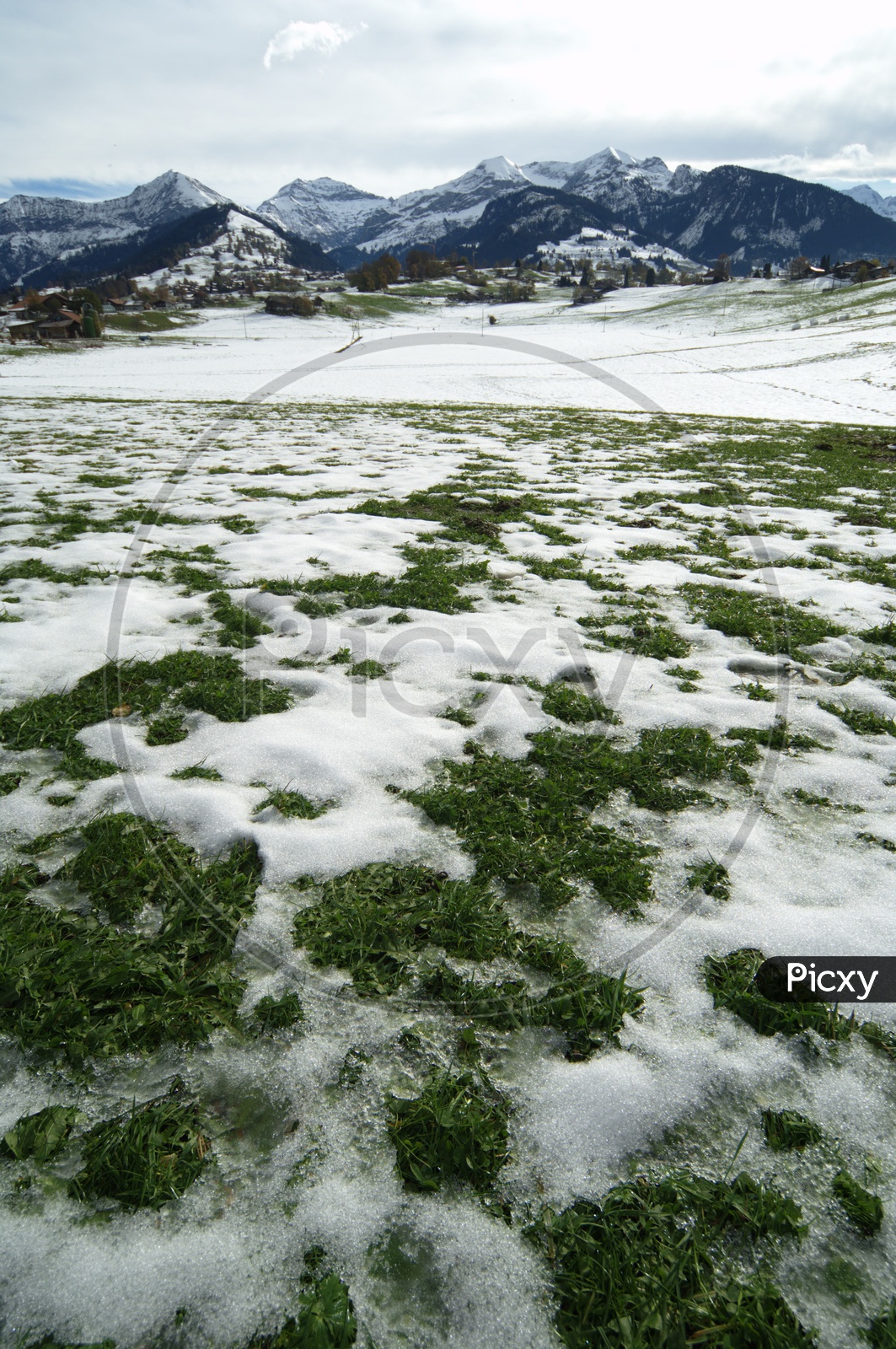 Snow on the grass alongside the Swiss Alps