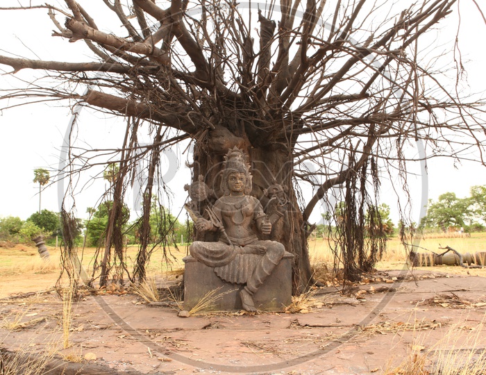Hindu Goddess sculpture alongside the tree