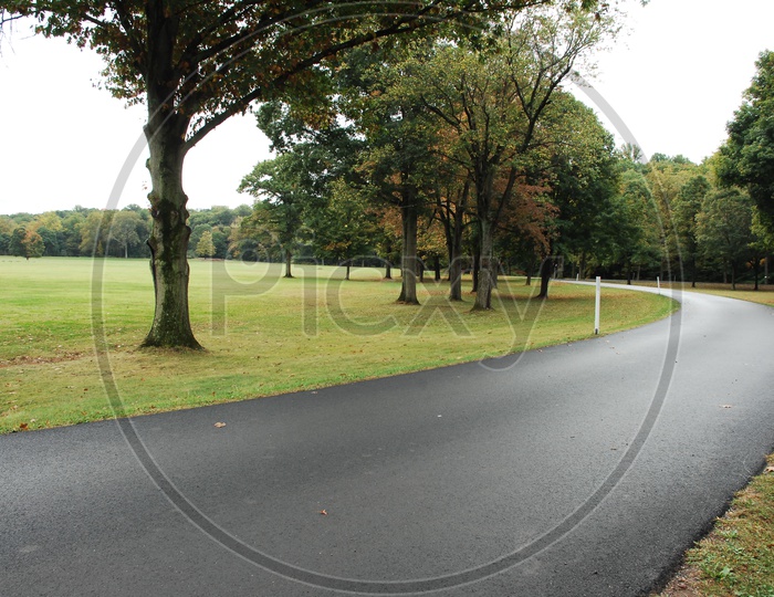 A curve road with trees beside