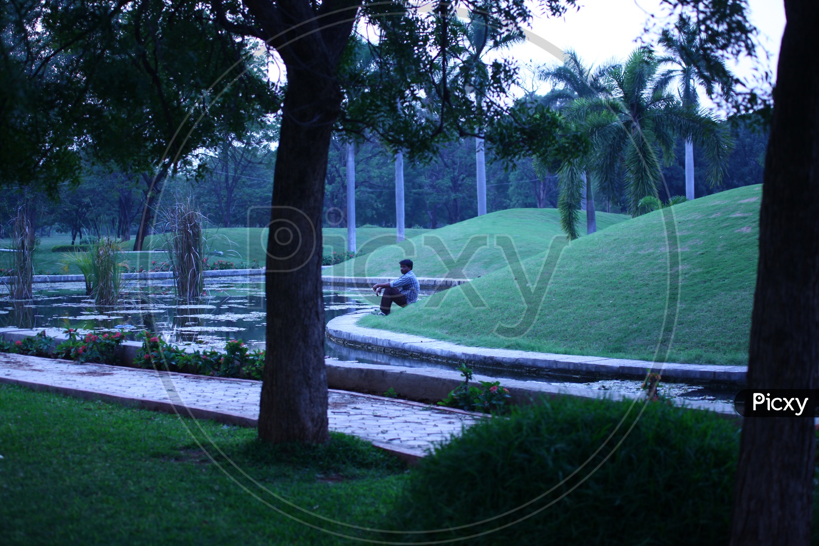 Man sitting alongside the green lawn
