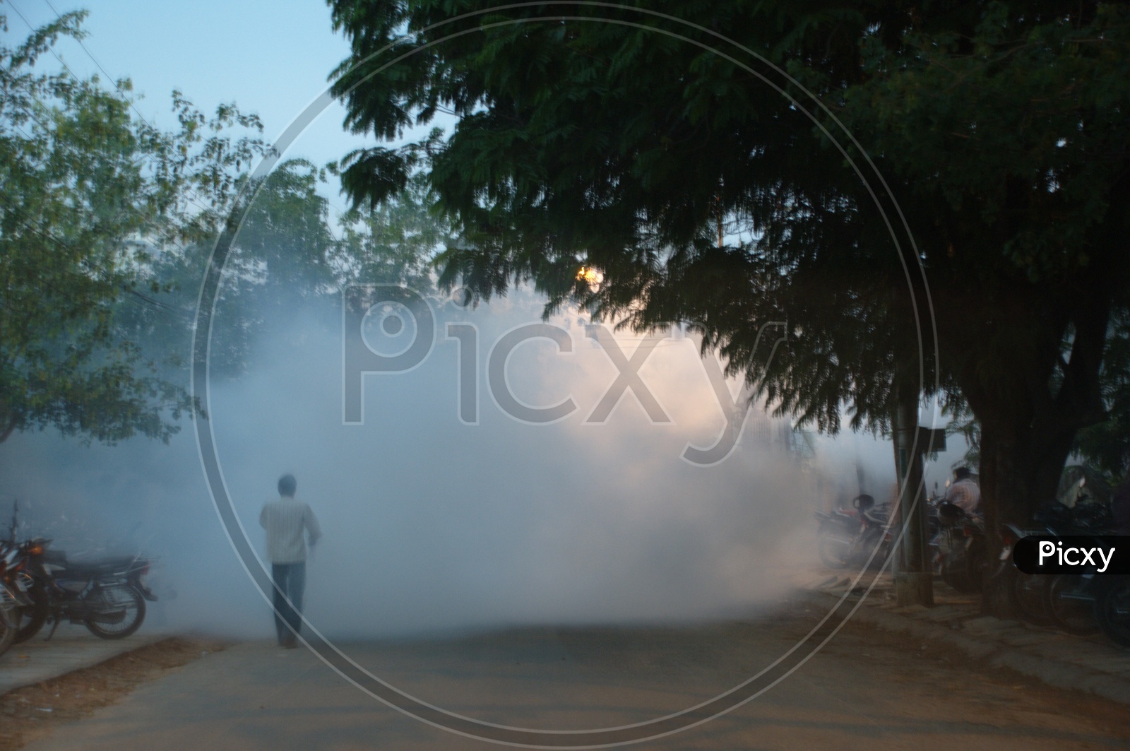 Mosquito Control Smoke By GHMC on Streets