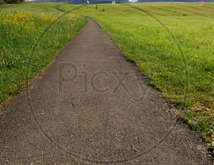 A small road between green lands