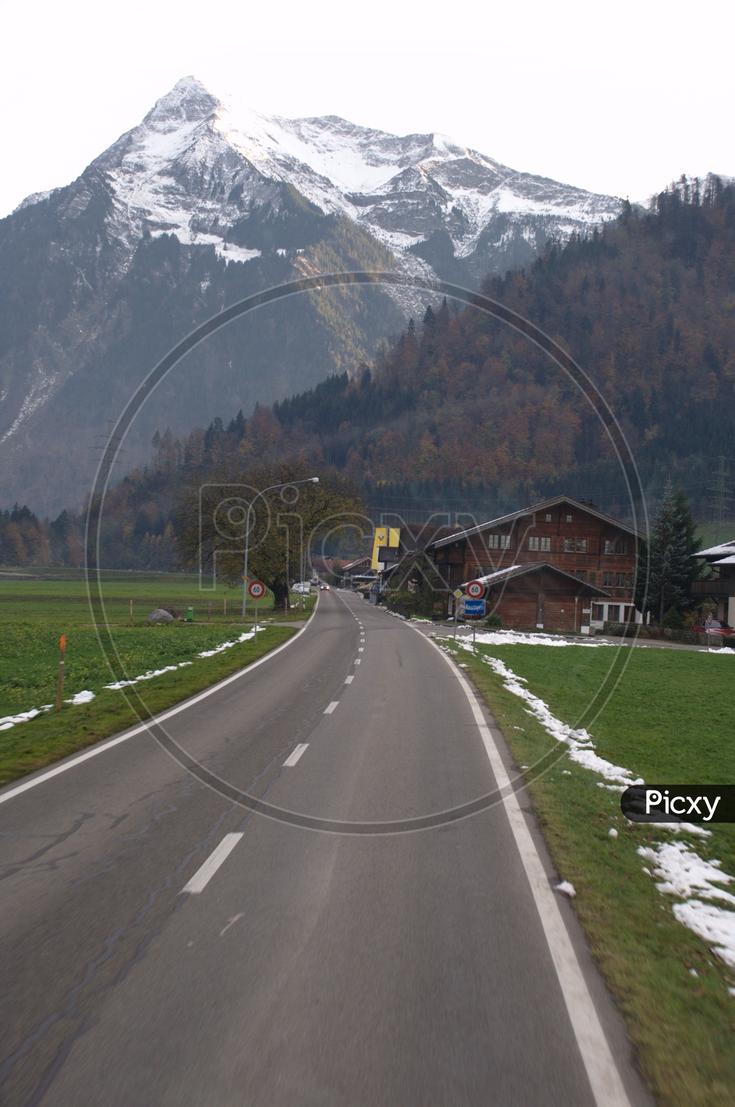 Roadway through the Green meadow alongside the Swiss Alps
