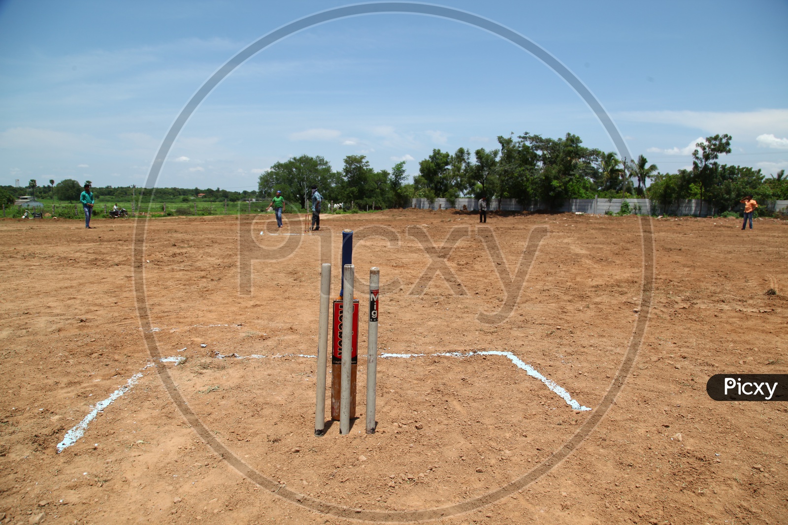 Cricket Stumps and a bat on the ground
