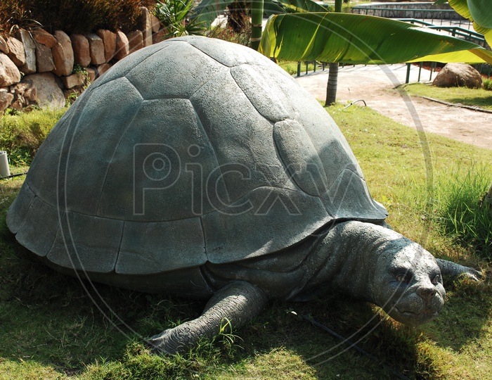 Tortoise statue