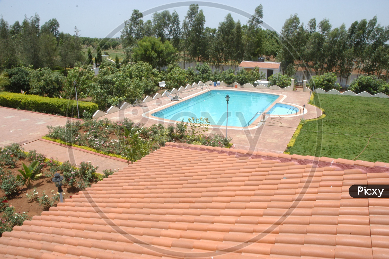 Top view of Backyard Swimming pool