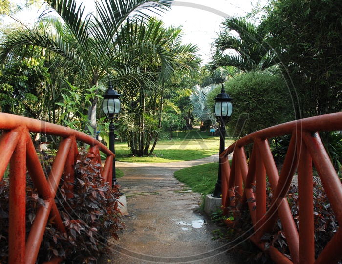 Bridge in a garden