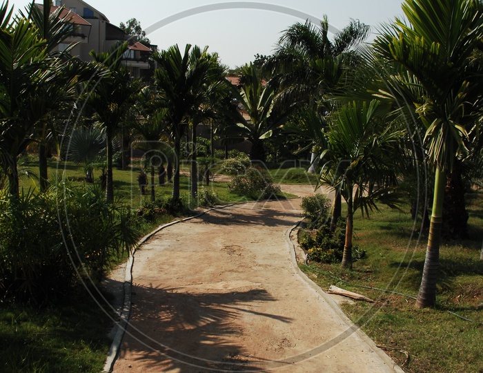 Walkway in a resort