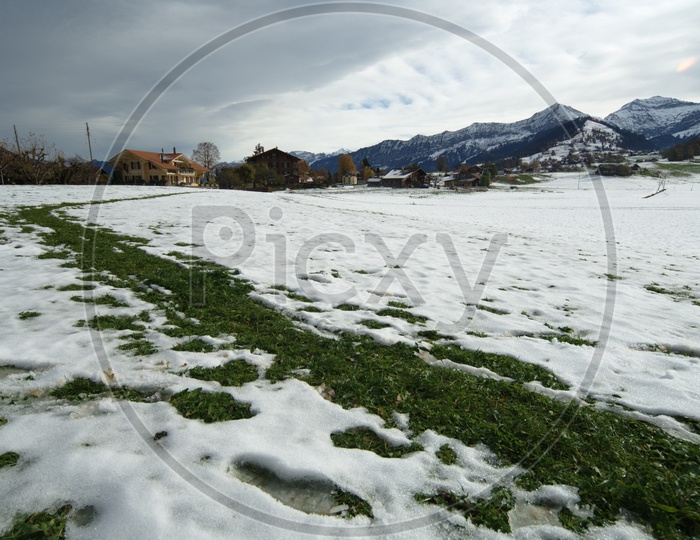 Grassland covered with snow alongside the Swiss Alps