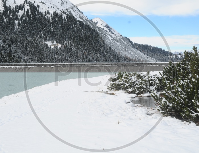 View of Swiss Alps covered with snow and spruce trees