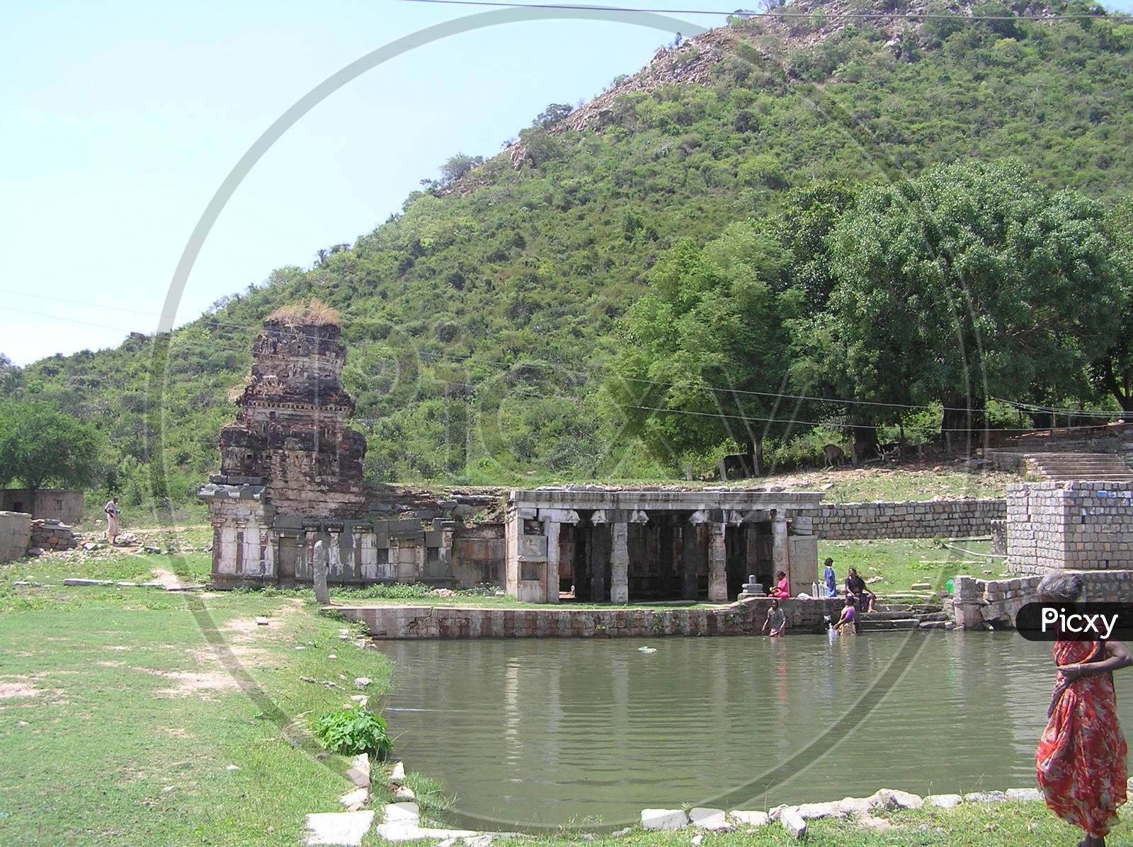 Local People Collecting Water From Temple Ponds