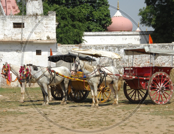 Horse carts in Varanasi