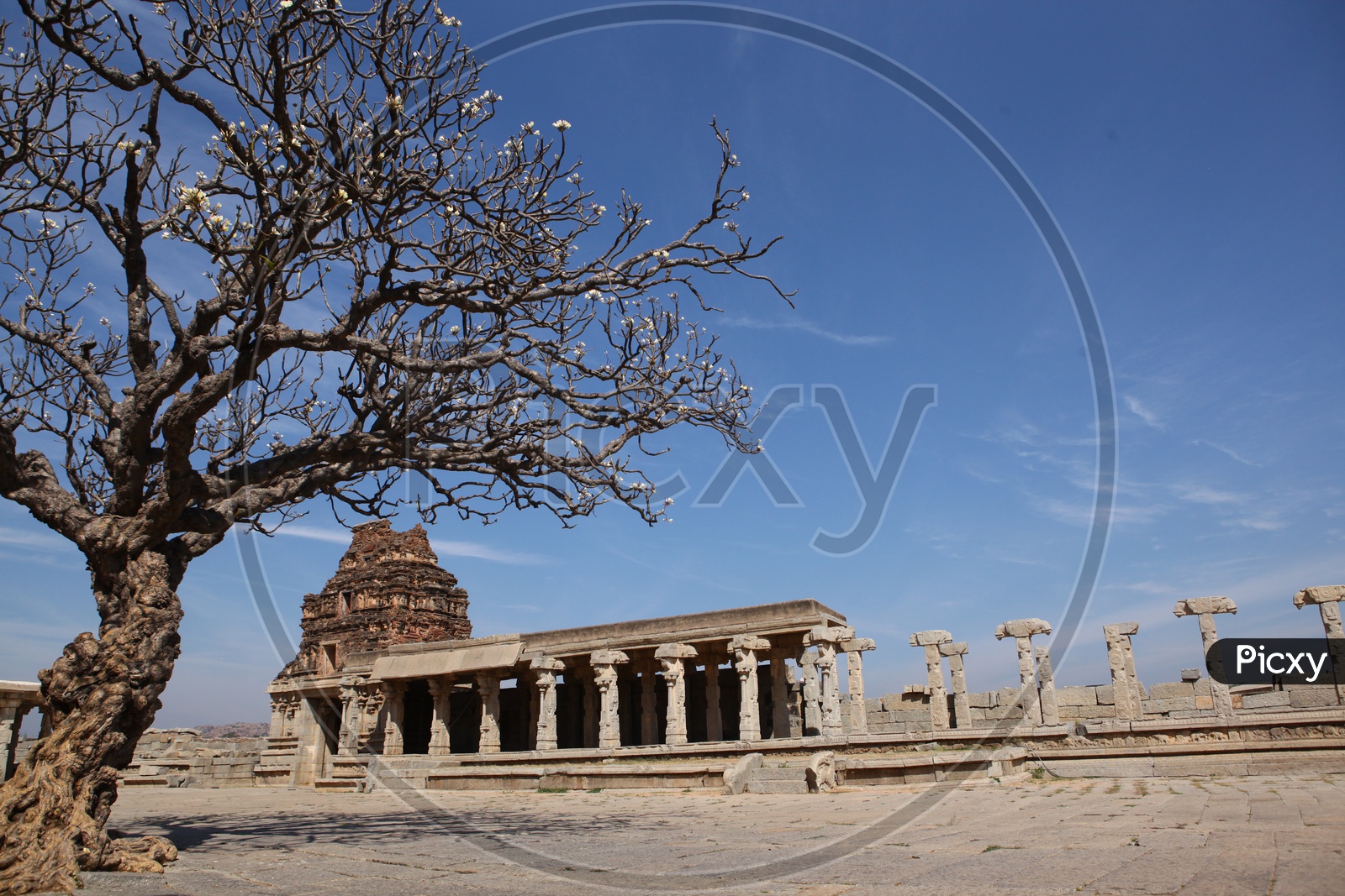 Ancient ruins of Vittala temple