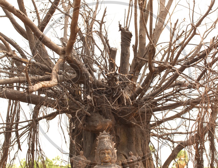 Antique Hindu Goddess statue alongside the tree