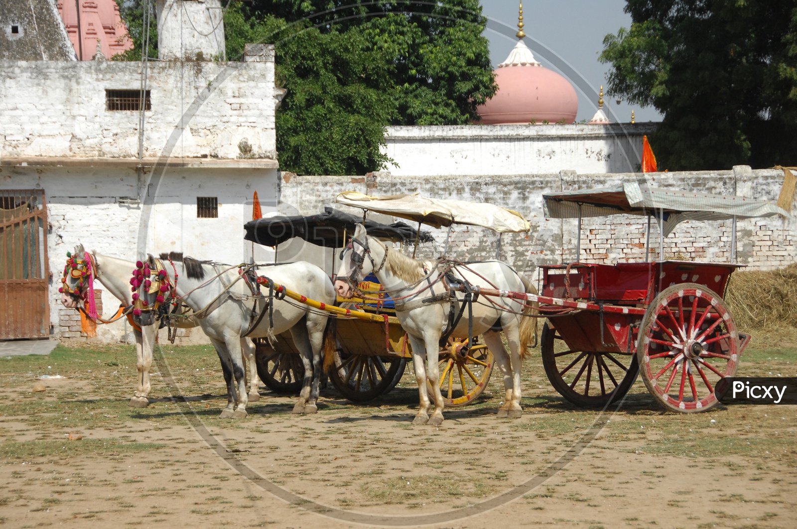 Horse carts in Varanasi