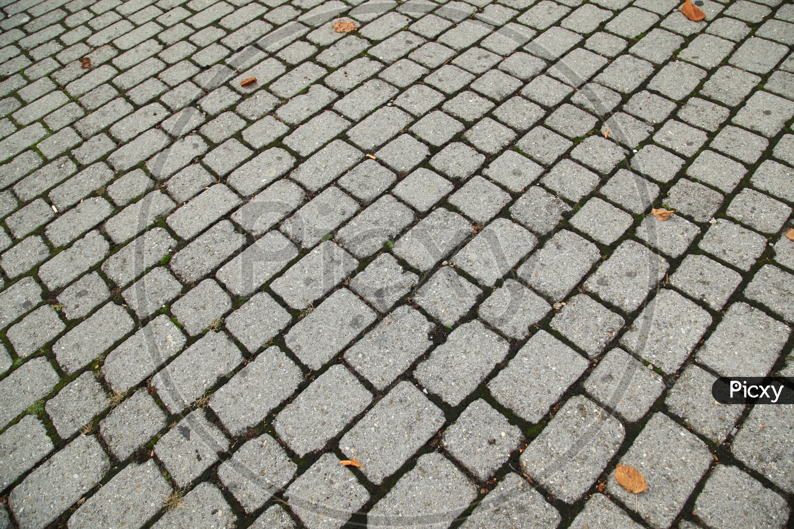 footpath tiles texture
