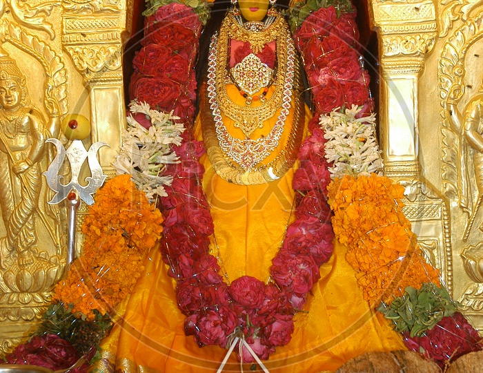 Hindu Goddess statues decorated with garlands