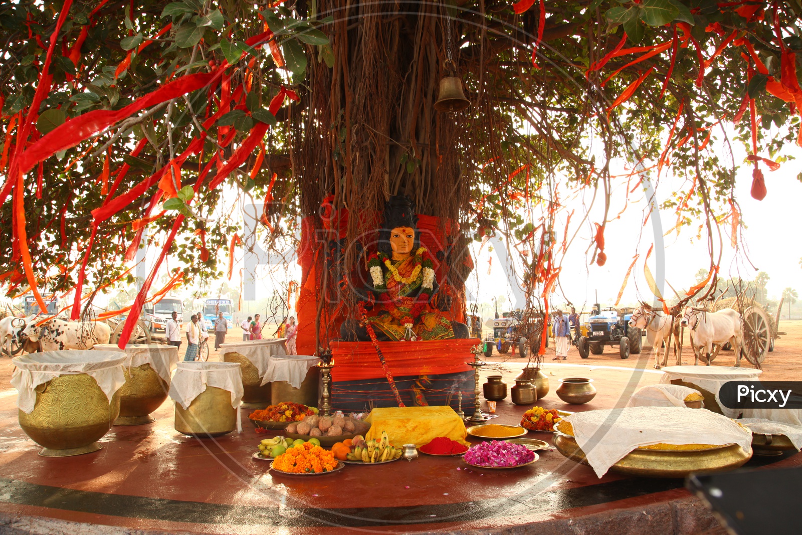 Hindu Goddess Idol under a tree