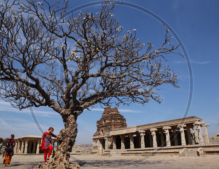Tourists alongside the tree alongside the Vittala temple