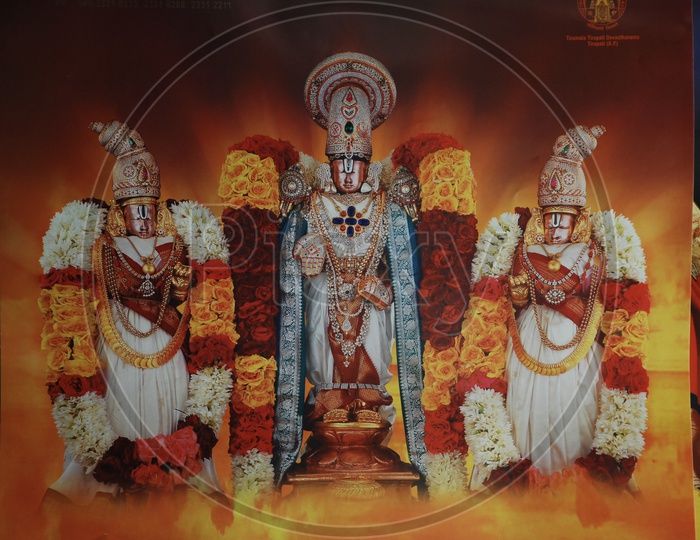 Photograph of Hindu God Statues