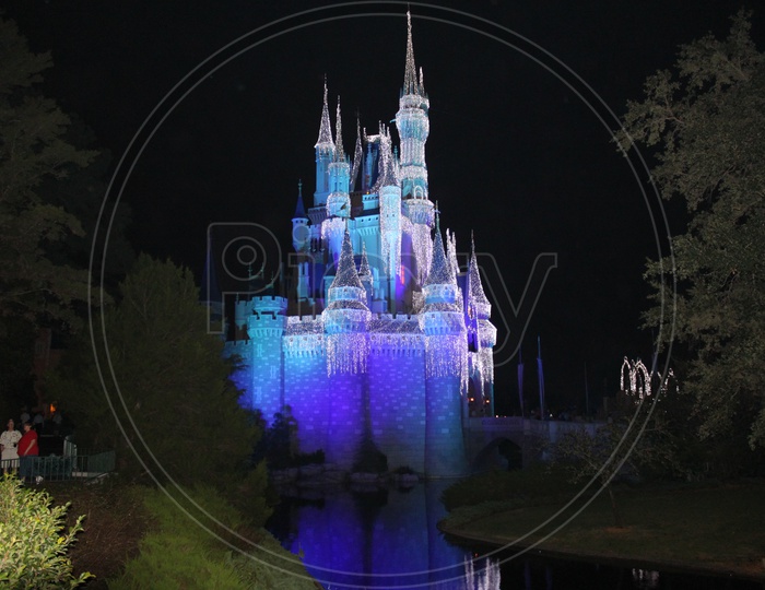 Cinderella Castle during the night