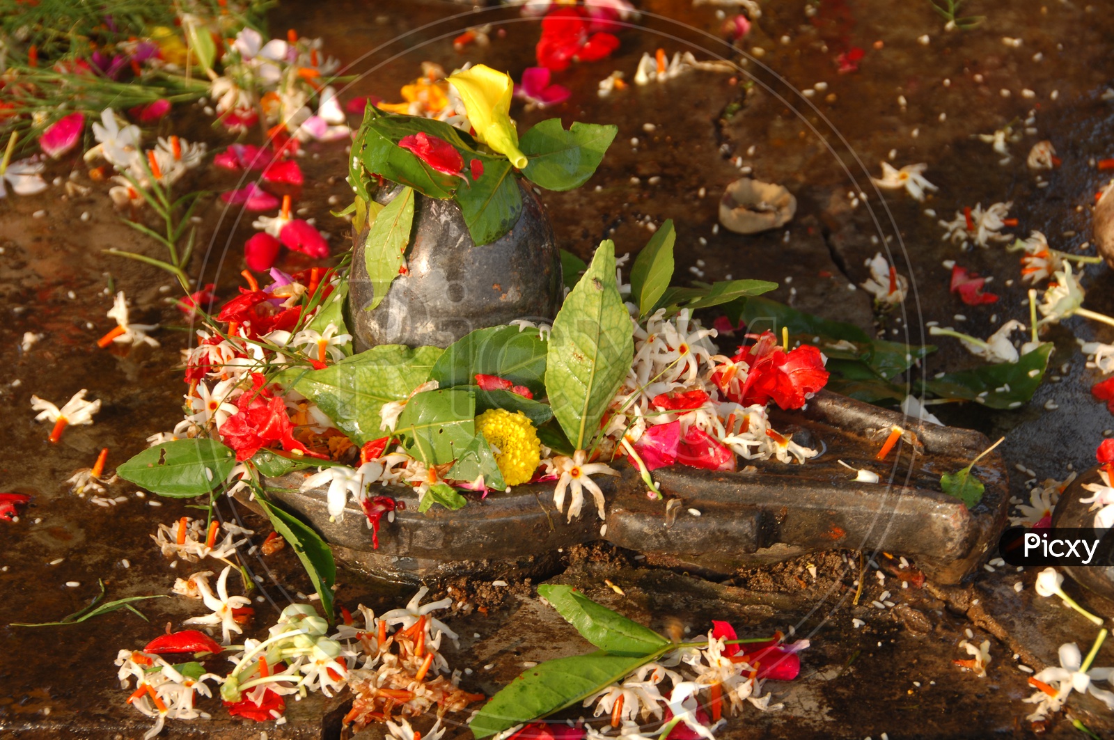 Shiva Lingam worshipped with leaves and flowers