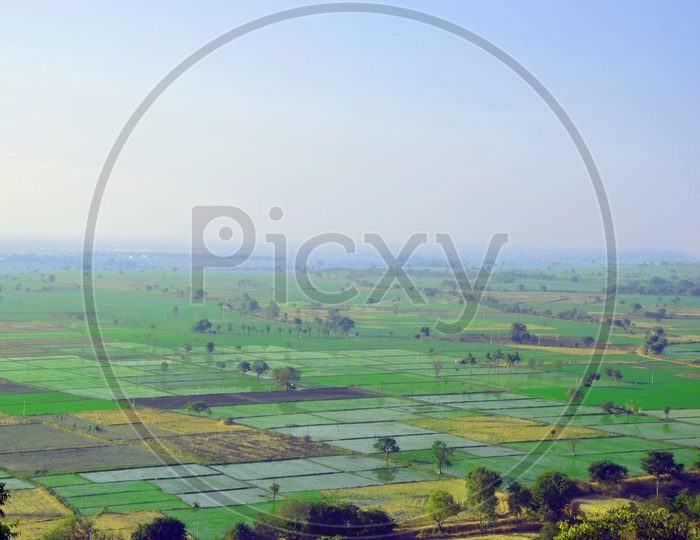 aerial view of agricultural fields