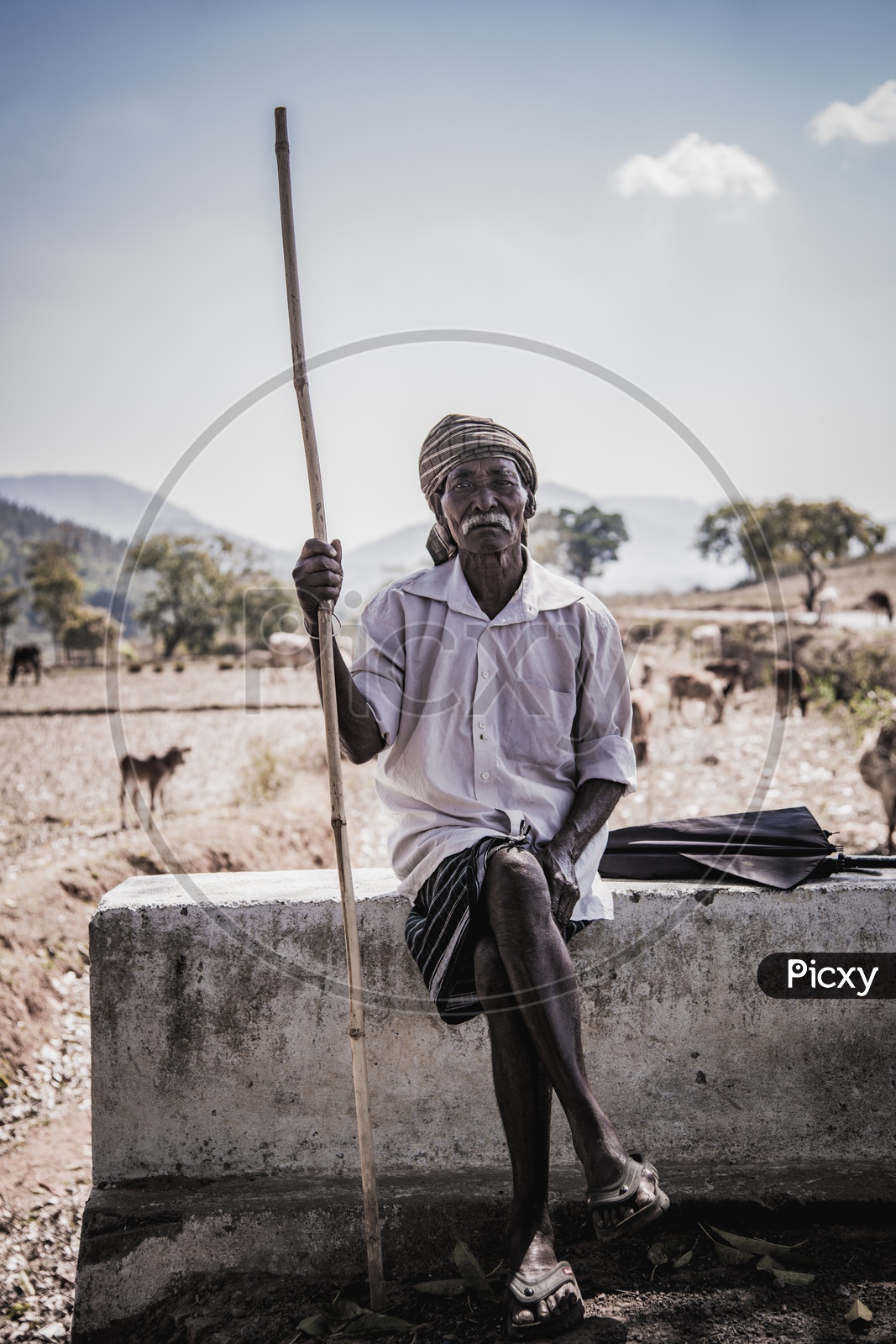 An Old Man Or farmer In Rural Villages of India