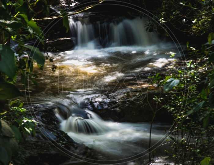 A Water Flowing In a Forest As a Channel