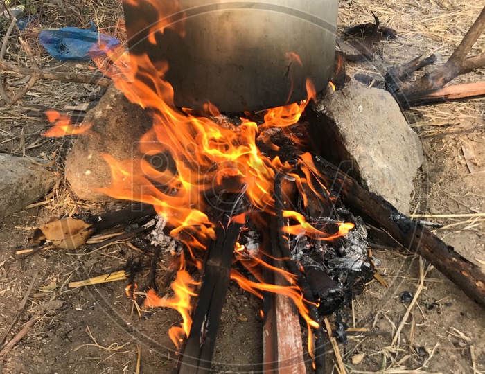 Cooking with fire woods
