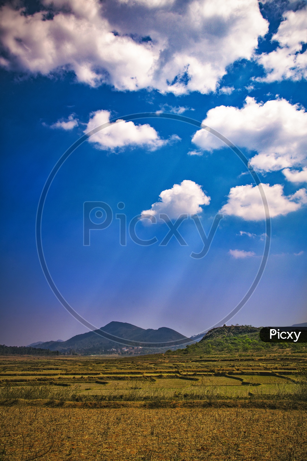 Cotton Clouds On Blue Sky Over Agricultural Fields
