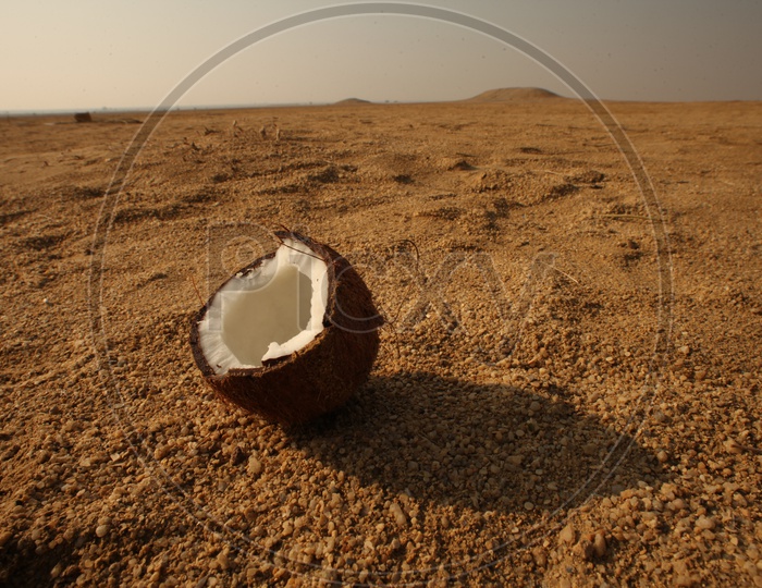 Broken coconut in the desert