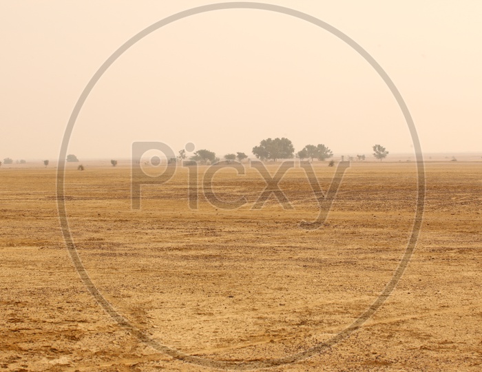 Rajasthan Desert