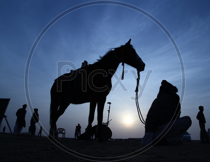 silhouette of a horse and people