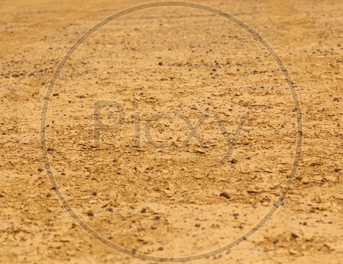 Close up shot of a desert in rajasthan