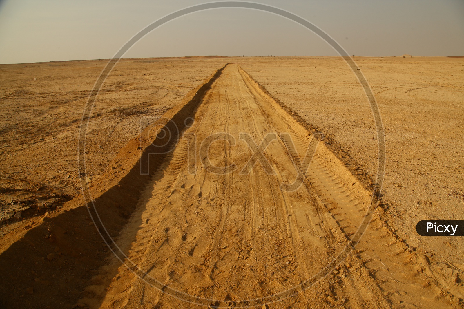 truck marks in the desert