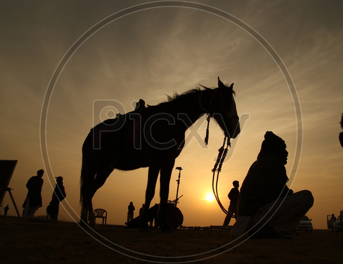 Silhouette of a horse and People moving around