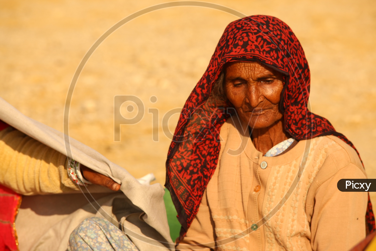 A old rajasthani women seated in the desert