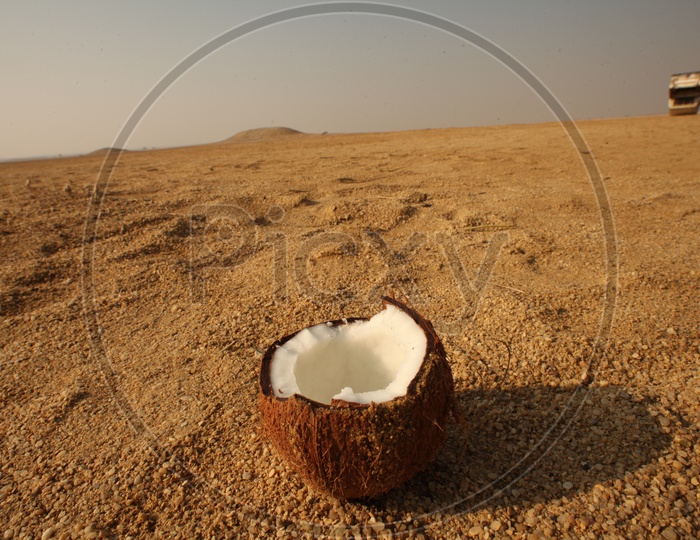 Broken coconut lying in the desert