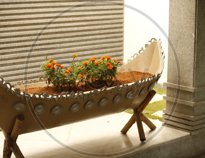 A boat shaped pot with marigold plants